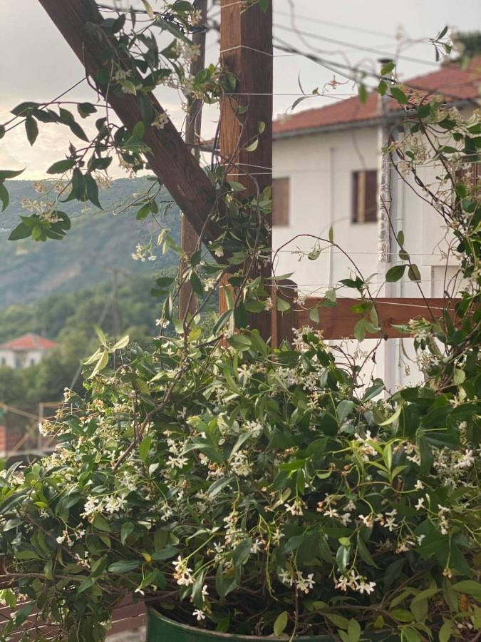 Karavos Hotel بورتاريا المظهر الخارجي الصورة