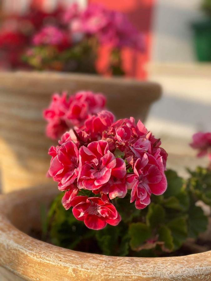 Karavos Hotel بورتاريا المظهر الخارجي الصورة